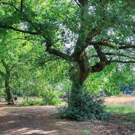 Espace, Calme, Confort